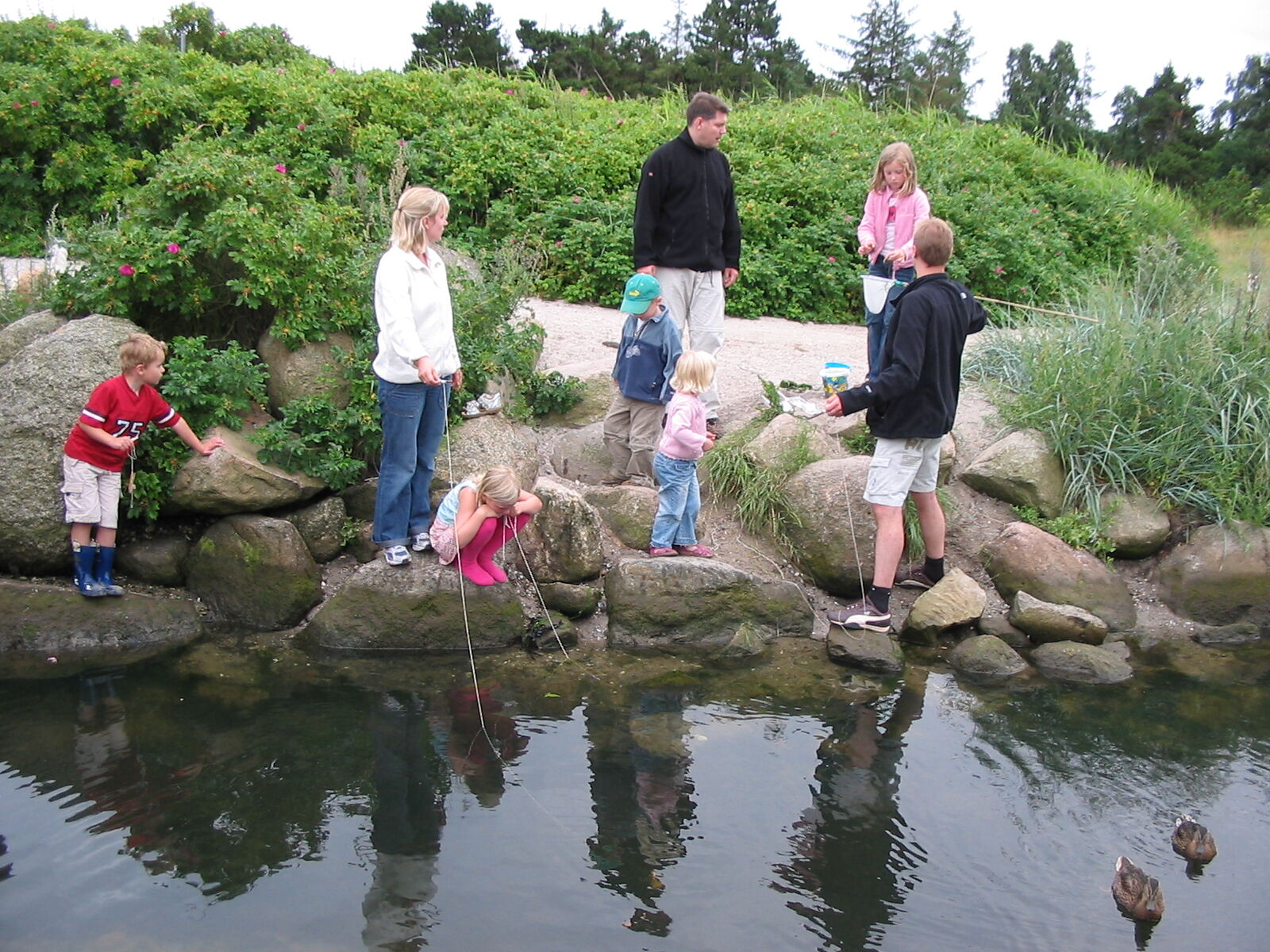 Familiekoloni 2005, Dyngby Strand (97)