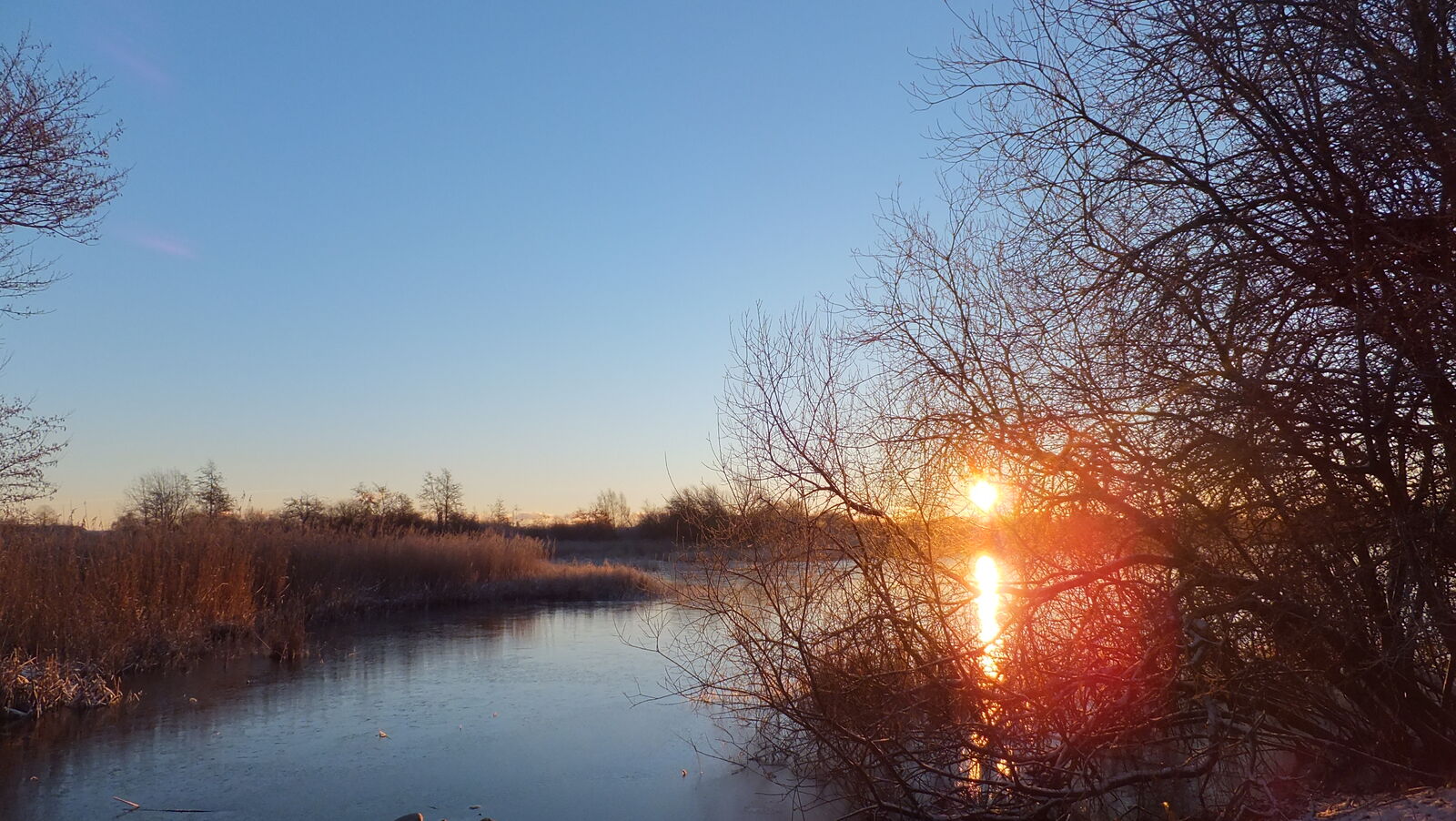 Amager Fælled 2. juledag 2014 (45)